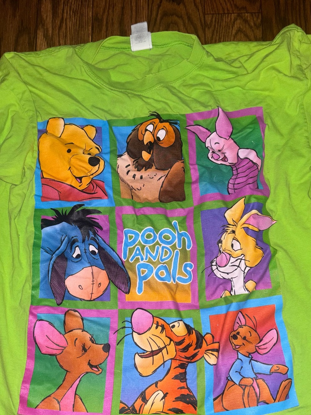 Vintage Disney Winnie The Pooh and Pals Mega Graphic tshirt 2x